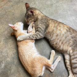 Mother daughter love