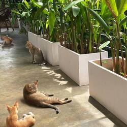 All our brunch friends