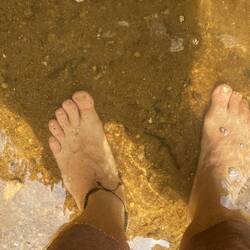 Very clear water with lots of fishies