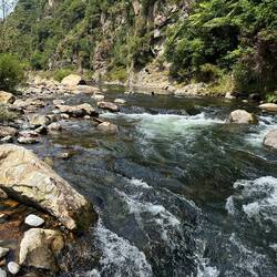 Unser z'Mittags Platz