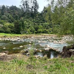 Am Ufer erkennt man dass das Wasser relativ hoch gewesen sein muss