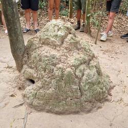 Belüftung als Termitenhaufen getarnt