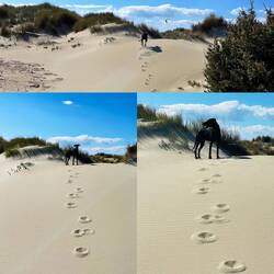 ..aber für Ablenkung ist gesorgt..