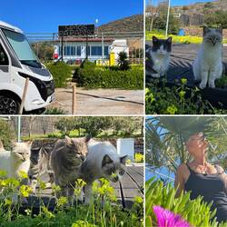 ..wir sind nochmals ganz im Süden der Insel..