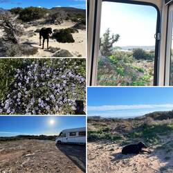 Villa-Stellplatz🚐für heute.Lesley überlegt ganz am anderen Ende wo Sindy heute wohl bleibt?🐾❤️