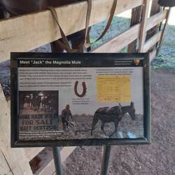 Der Plantagenbesitzer war der Meinung eigengezüchtete Mulis sind die Besten.