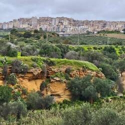 Im Hintergrund die Stadt Agrigento
