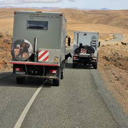 Esel versperrt die Strasse