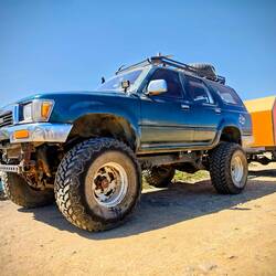 Artgerechte Haltung von geländegängigen Fahrzeugen ist hier an der Tagesordnung