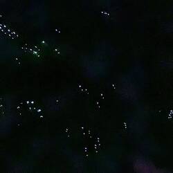 100e Glühwürmchen an einer Felswand