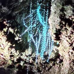 Aufnahme mit Schwarzlicht