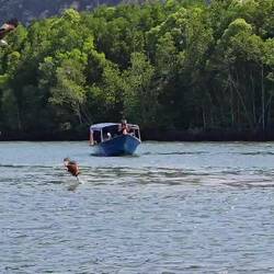 Ok. Sie werden gefüttert.