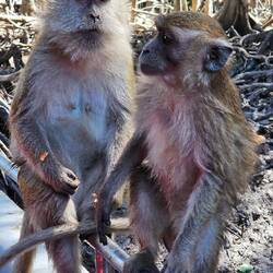 ... Spaß bei uns am Boot.