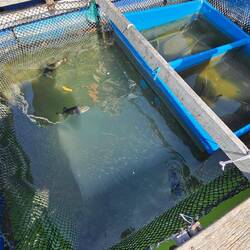 Beim Fischrestaurant.