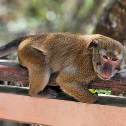 Weck mich nicht nochmal auf.