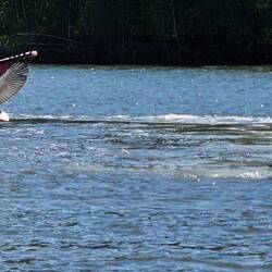 Vor allem wenn man sie zum Ersten mal sieht.