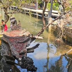 Zum Glück nicht unser Boot
