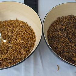 Soll ja nahrhaft sein