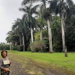 Tropical garden