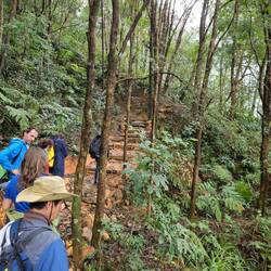 Umgehung der fehlenden Straße