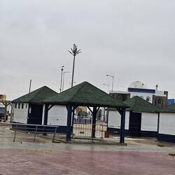 Ein Sendemast als getarnte Palme