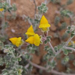 Natur erobert zurück