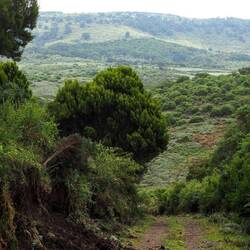 Toller Weg zur Karuru-Klippe