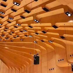 Birkenholzdecke im Konzertsaal