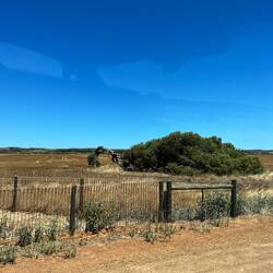 Hie lüftest mängisch chli