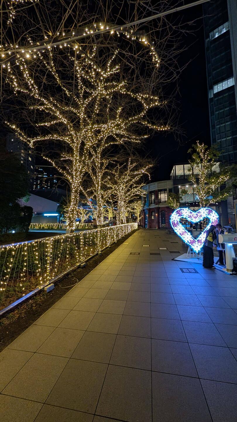 Noch die Weihnachtsdeko