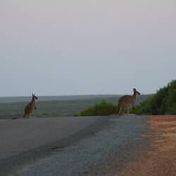 Darum isch Autofahre ihr dämmerig nid so toll...