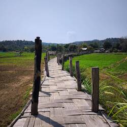 Bamboo Brücke