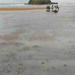 Eine willkommene Abkühlung für unsere Helden 🐎