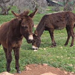 IAaaa, ich bin doch glücklich...