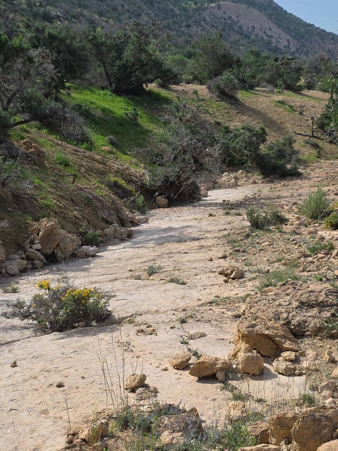 Kalksteinblöcke, wie eine römische Straße, führten uns bergauf.