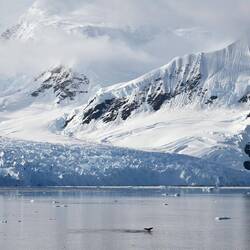 Got this humpback right before he dove under