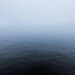 This is pretty much all we saw on the first day