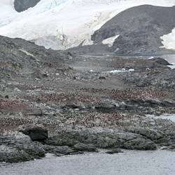 A penguin rookery we passed with a few thousand scattered as far back as we could see