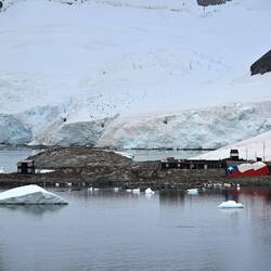 Videla Base (Chilean), overtaken by penguins