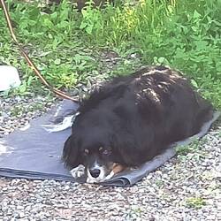 Unser Tourguide Leni