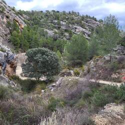 Wir steigen in die Schlucht ab.