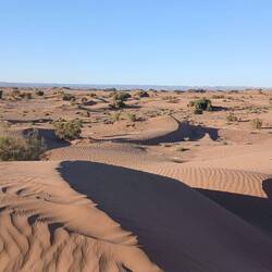 Anfang der Dünengegend