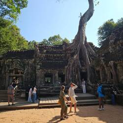 Ta Prohm Tempel