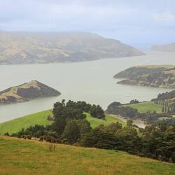 Der Krater, der heute die Halbinsel Akaroa bildet
