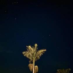 Sternenhimmel in Huskisson
