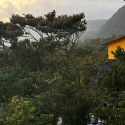 View from the balcony