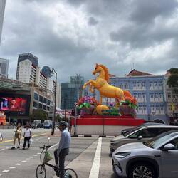 Lunar New Year decorations at Chinatown.