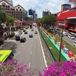 Lunar New Year decorations at Chinatown.