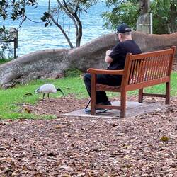 Chris taking a close-up video of a bin chicken