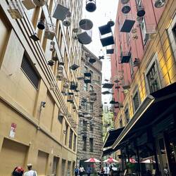 Bird cages over a cute alley. Also bird calls were being played over the speaker